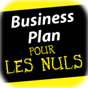 Business Plans Pour les Nuls