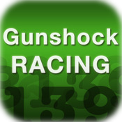 iCodes for Gunshock Racing
