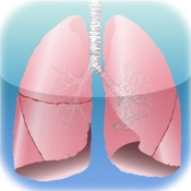 Pulmonary System