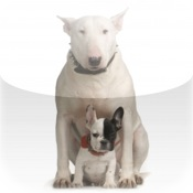Bull Terrier With Puppy Snow Globe