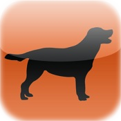 Puppy and Dog Trainer (Spanish)