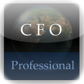 CFO Handbook (Professional Edition)