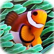 Colorful Aquarium for iPad