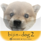 bijin-dog 2