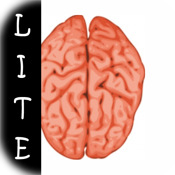 Allinson - Brainstorm LITE