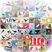 Birds Wallpapers