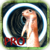 Down the Gopher Hole Pro HD