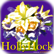 HollyHock Flowers