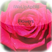 iWaLlpApERf - Flowers Wallpaper