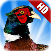 Pheasant Hunt HD