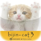 bijin-cat 3