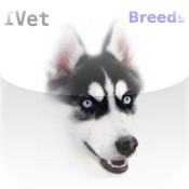 IVet Dog Breeds