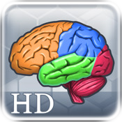 Mehr Gehirn Joggen mit Dr. Kawashima HD