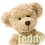 Teddy HD