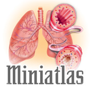 Miniatlas Asthma