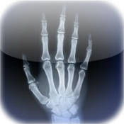 Skeletal Anatomy 3D - Quiz and Reference