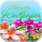 Flower Wallpaper & Background
