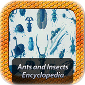 Ants and Insects Encyclopedia