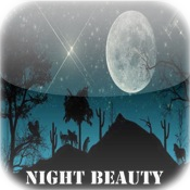 Night Beauty