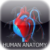 Human Anatomy App