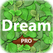 Dream: Pro