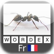 Wordex - Français - French
