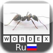 Wordex - Русский - Russian
