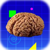 Brain Teaser of the Day - 365 Logic Puzzles from BrainBashers