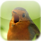 Vogelstimmen-Trainer (Nature Lexicon)