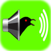 AudioZoo: Bird Songs