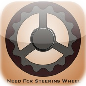 NFSW - Need for Steering Wheel?
