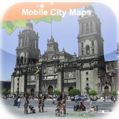 Mexico City Street Map