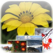 a*PicturePro – Yahoo & Flickr Image and Wallpaper Search With Full-Screen Photo Preview