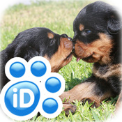 iDorable™ - Cute Puppies, Kittens, Dogs, Cats, and Animals - New Pics Daily !