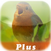Nature Lexicon: Vogelstimmen-Trainer Plus