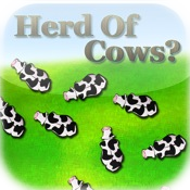 Herd of Cows?
