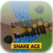 Snake Ace