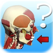 Anatomy Head & Neck Quiz