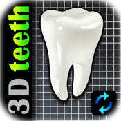 3D Teeth