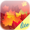 Fall Foliage - Lite