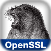 Network Security with OpenSSL
