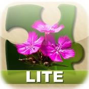 Bright Puzzles: Flowers Lite