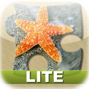 Bright Puzzles: Sea Life Lite