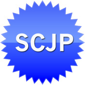SCJP Preparation Test (Java ™  5)