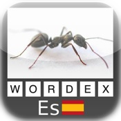 Wordex - Español - Spanish
