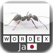 Wordex - 日本語 - Japanese