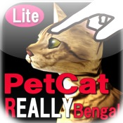 Eine Katze wirklich streicheln Bengalkatze