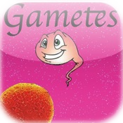 Gametes