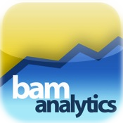 BAM Analytics