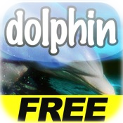 Play with Dolphins